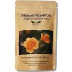 SYMYC Mykorrhiza-Pilze