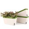 Blumenkasten von T4U