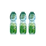 Teisseire Grüne Minze