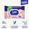 Feuchtes Toilettenpapier von Tempo