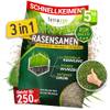 Rasensamen von TerraUno