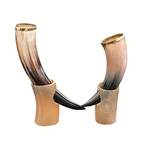 The Antique House Ochsenhorn-Set NS204