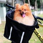 The Anzome Zusammenklappbarer Fahrradkorb