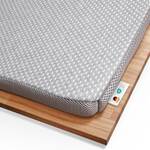 Third of Life Renewon