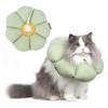 Halskrause Katze von THKOFPET