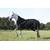 Time4horses High Neck Thermodecke