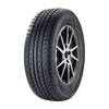 Snowroad 3 XL von Tomket