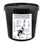 Tomodachi Deep Winter