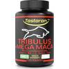 Tostoron Tribulus von Tostoron