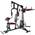 Multistation 1F0981C von TrainHard