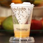 Trapango Fruchtfliegen-Lebendfalle
