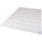 Traumnacht 03831396140