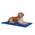 Arctic Comfort von TrendPet