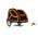 DogBus L von TrendPet