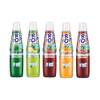 Sirup Sortiment von TRi TOP
