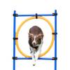 Agility Ring von Trixie