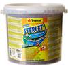 Sterlet von Tropical