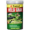 Welsi Gran von Tropical