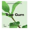 Minze von True Gum