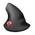 GXT 144 Rexx von Trust