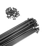 Tstraum Fahrrad Speichen