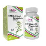 Tulip Biopharma Andrographis Paniculata Kapseln