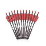 Ty Archery Carbon Armbrust Bolzen