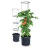 Tomatentopf von Tymar
