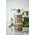 Shampoo Camomile For Blond Hair von Urtekram