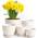 Home 5er-Pack Blumentopf von Utopia