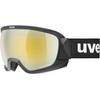 contest CV von UVEX