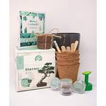 Valeaf Bonsai-Starter-Kit