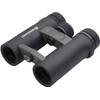 Endeavor ED 8 x 32  von Vanguard
