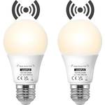 Vanpus LED-Glühbirne