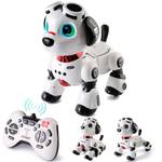 Varrotoy Roboter Hund