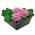 67063 von ‎vdvelde.com