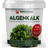 Algenkalk von Veddelholzer