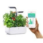 Véritable Indoor-Garten