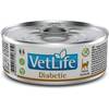 Diabetes Katzenfutter von Vet Life