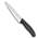 Swiss Classic 6.8003.15G von Victorinox