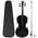 Violine Komplettset von vidaXL