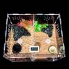 Mini Terrarium von Vinnykud