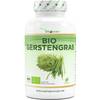 Gerstengras von Vit4ever
