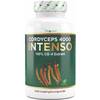 Cordyceps Pilz von Vit4ever