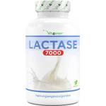 Vit4ever Laktase 7.000