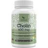Cholin von VITA1