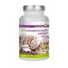 Flohsamenschalen Kapseln 3000 mg von Vita2You