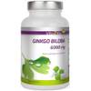 Ginkgo Biloba 6000mg von Vita2You