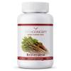 Resveratrol von Vitaconcept