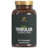 Tribulus Terrestris von Vitactiv